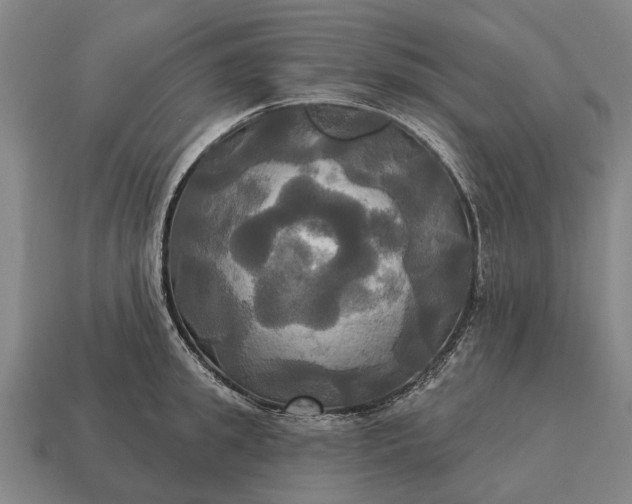 X0000115090949200911101521