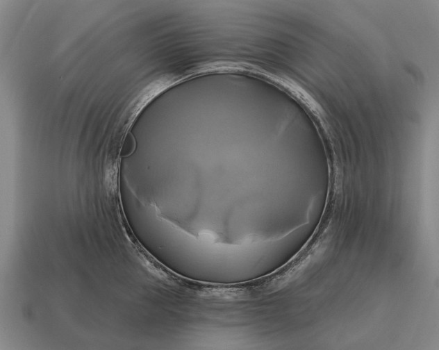 X0000115090953200911101521