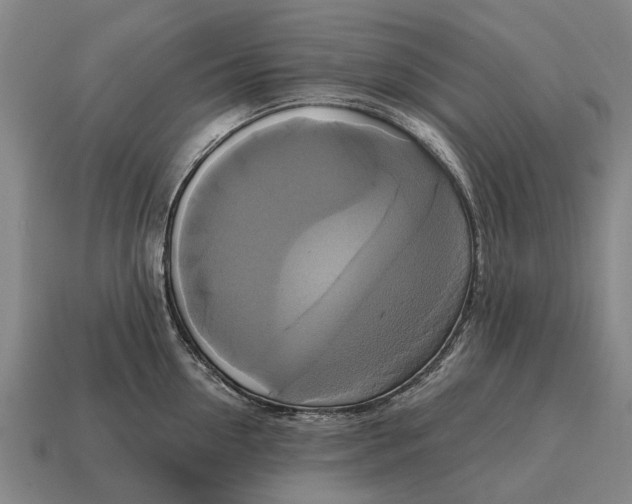 X0000115090954200911101521
