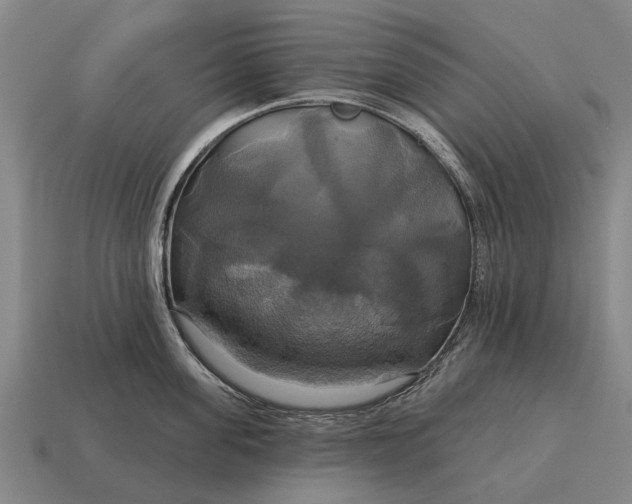 X0000115090955200911101521