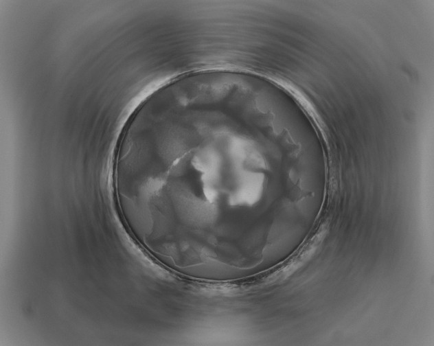 X0000115090957200911101521