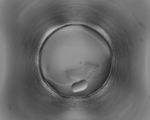 X0000115090958200911101521