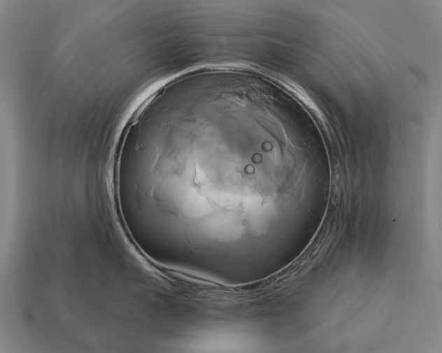 X0000115090959200911101521