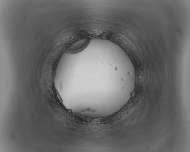 X0000115090961200911101520