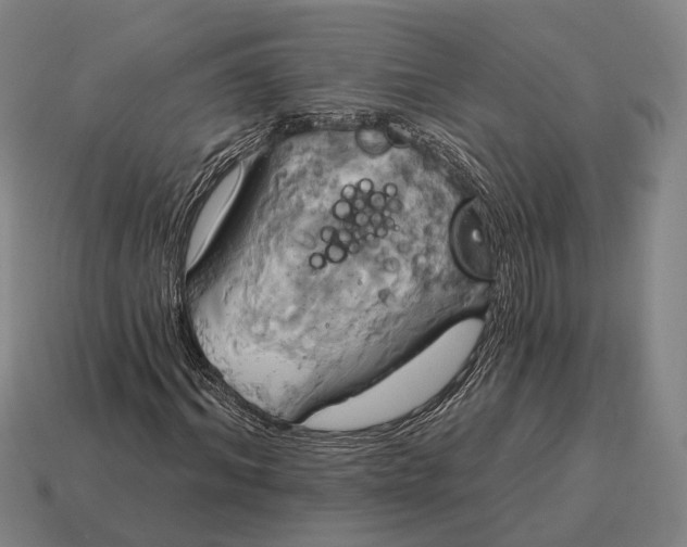 X0000115090964200911101520