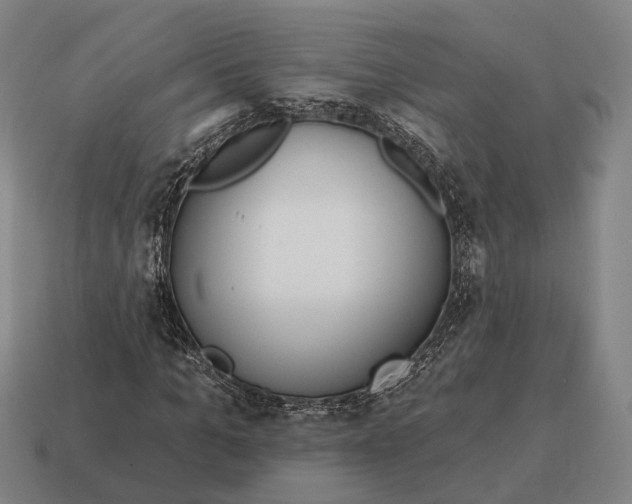X0000115090965200911101520