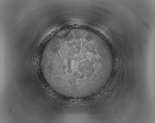 X0000115090967200911101520