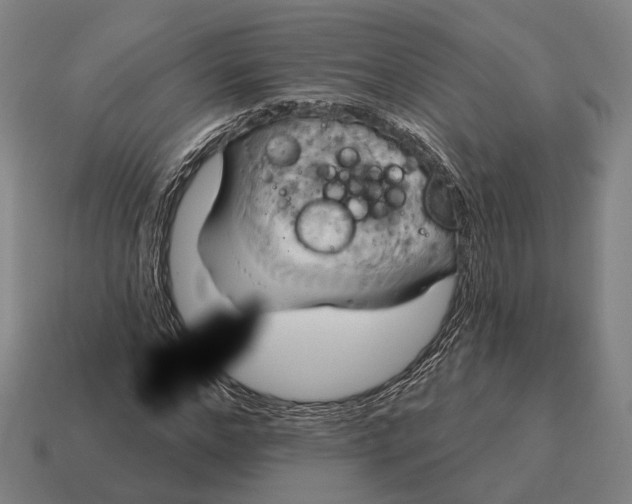 X0000115090968200911101520