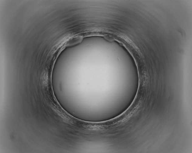 X0000115090969200911101520