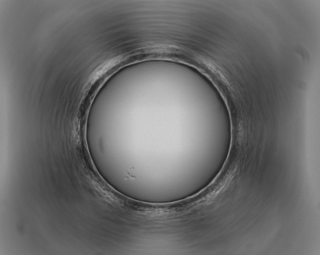 X0000115090970200911101520