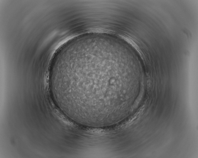 X0000115090971200911101520