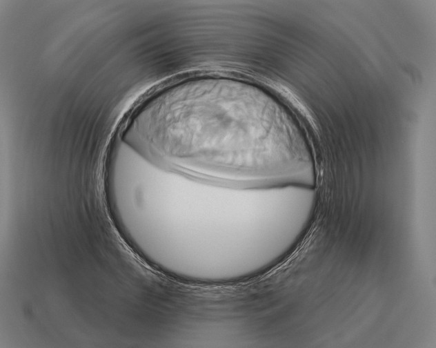 X0000115090972200911101520