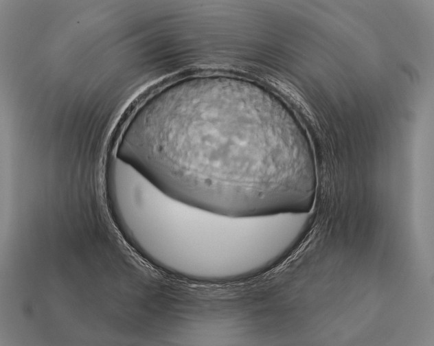 X0000115090976200911101520