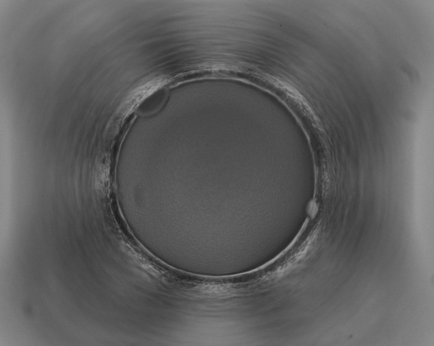 X0000115090977200911101520