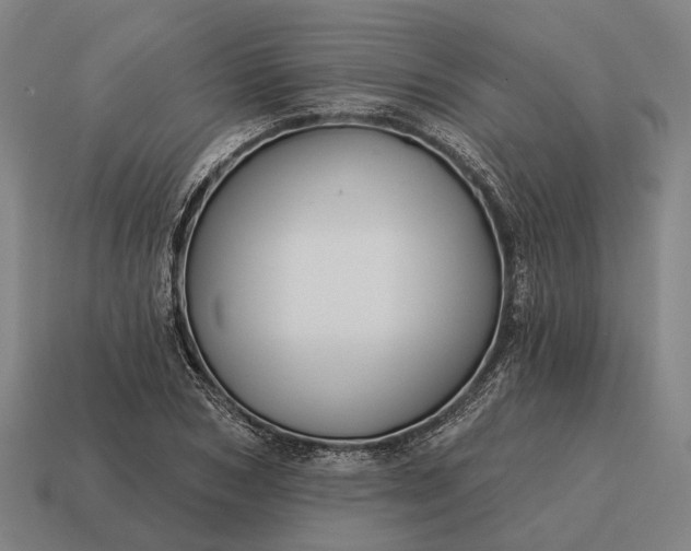 X0000115090978200911101520