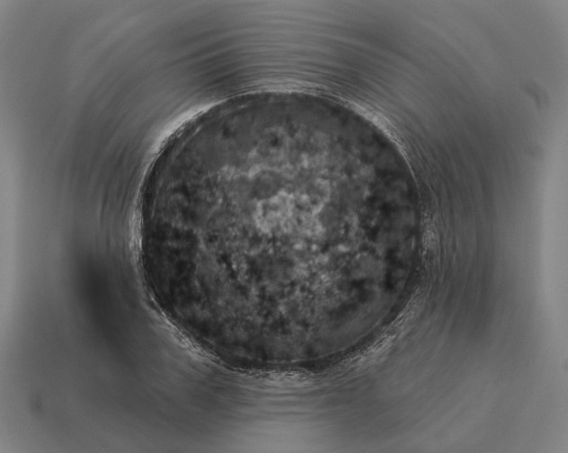 X0000115090979200911101520