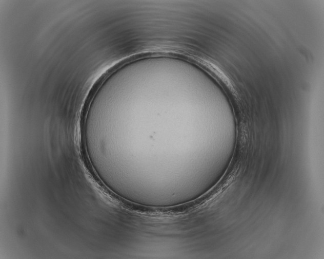 X0000115090980200911101520