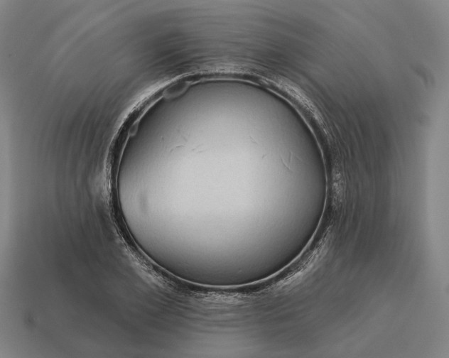 X0000115090981200911101520