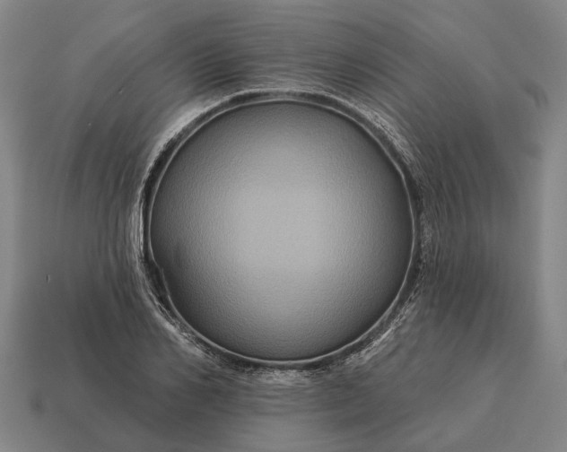 X0000115090982200911101520