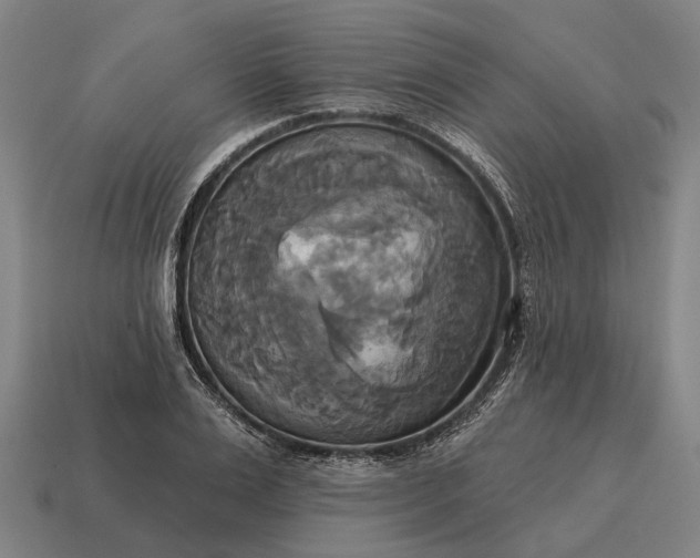 X0000115090983200911101520