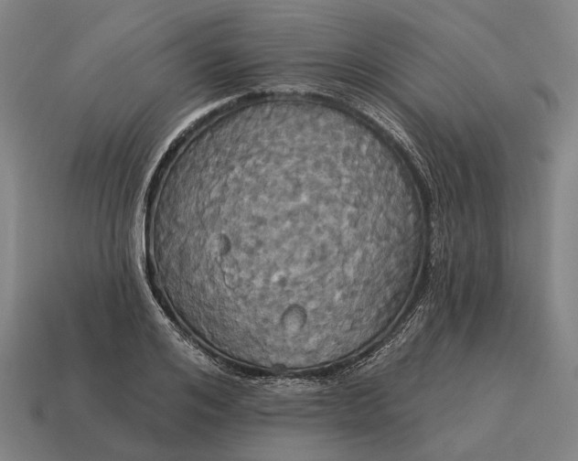 X0000115090984200911101520