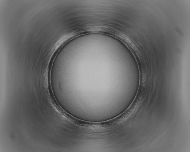 X0000115090986200911101520