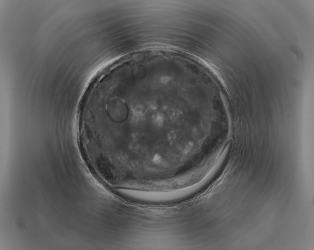 X0000115090987200911101520