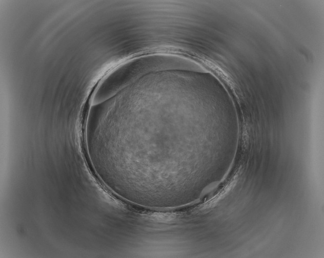 X0000115090989200911101520