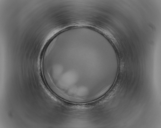 X0000115090990200911101520