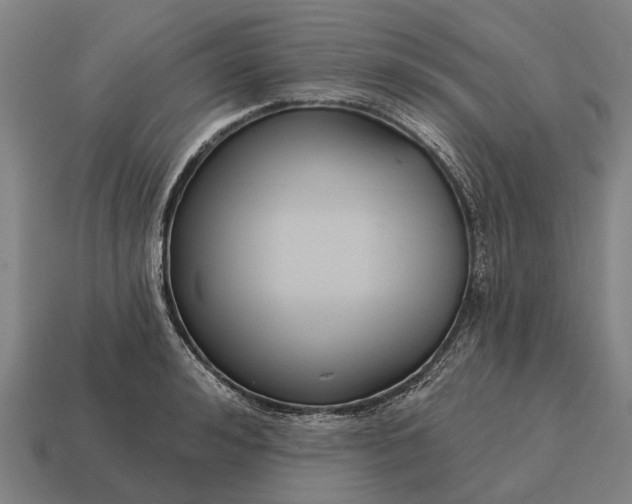 X0000115090992200911101520