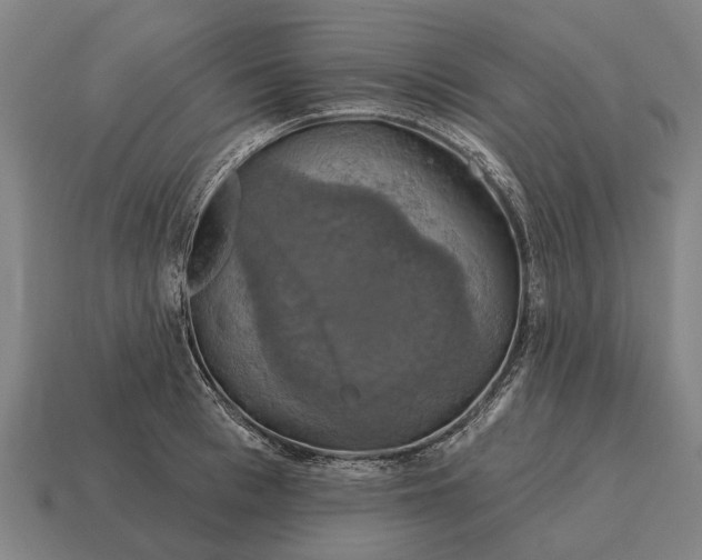 X0000115090993200911101520