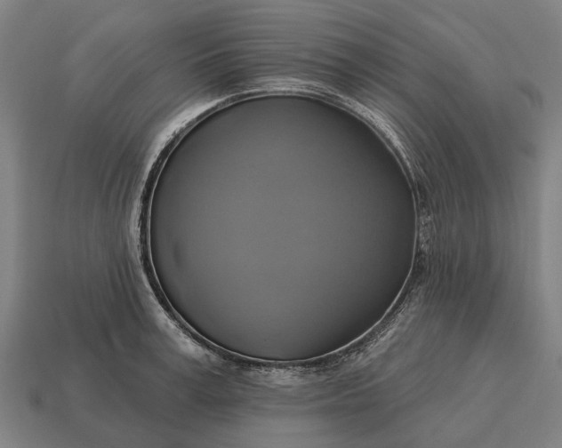 X0000115090995200911101520