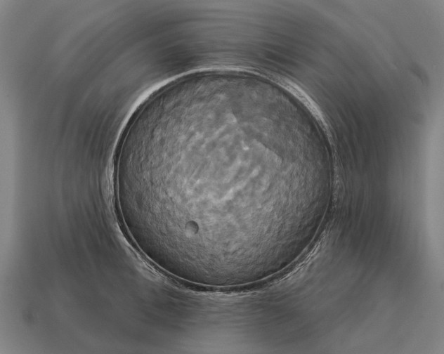 X0000115090996200911101520