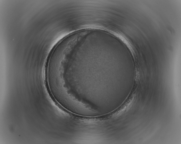 X0000115090999200911101520