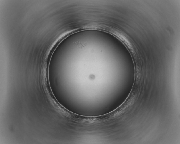 X0000115091000200911101520