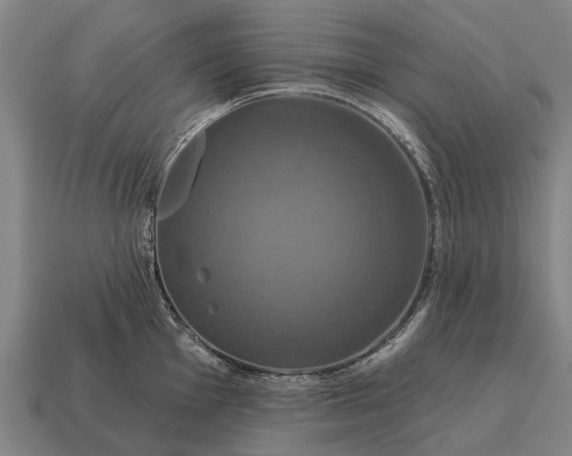 X0000115091001200911101520