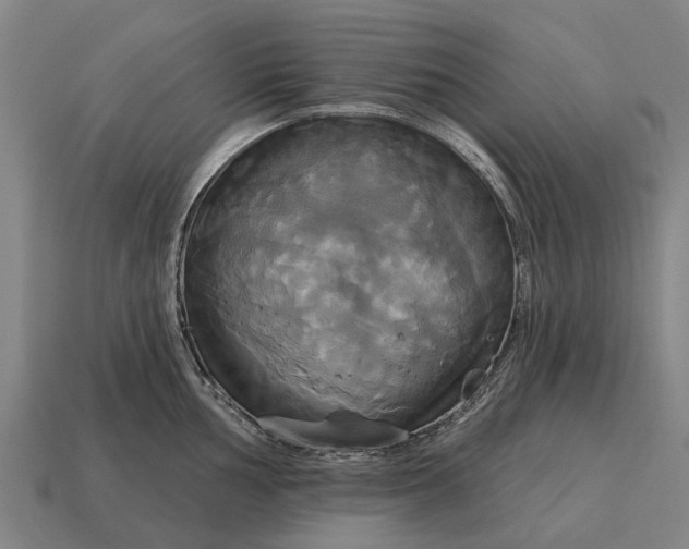 X0000115091002200911101520