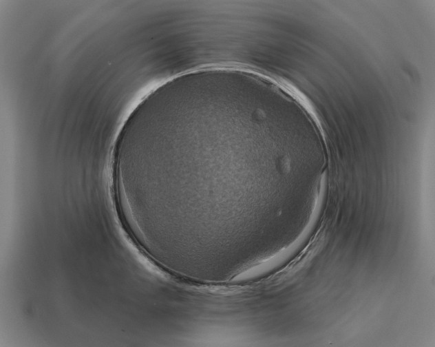 X0000115091005200911101520