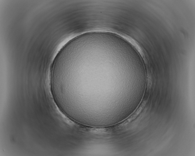 X0000115091006200911101520