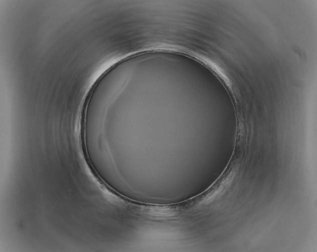 X0000115091007200911101520
