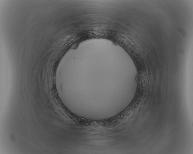 X0000115091009200911101519