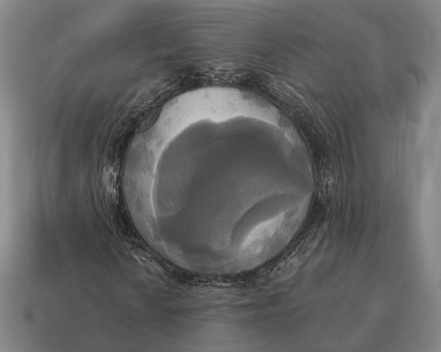 X0000115091010200911101519