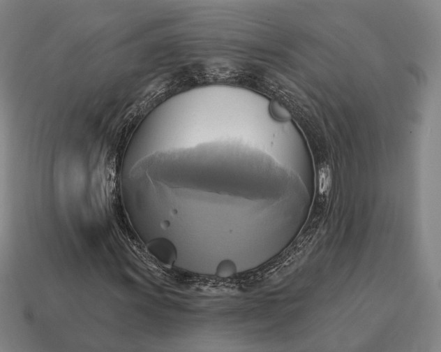 X0000115091011200911101519