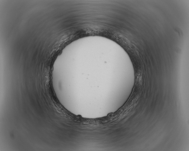 X0000115091012200911101519