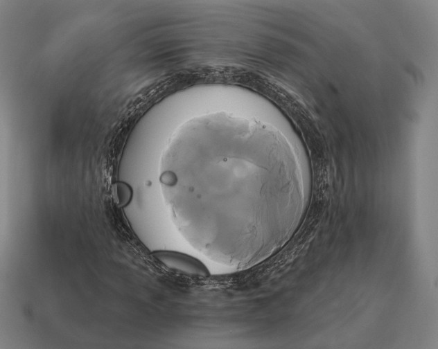 X0000115091013200911101519