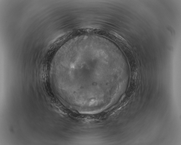 X0000115091014200911101519
