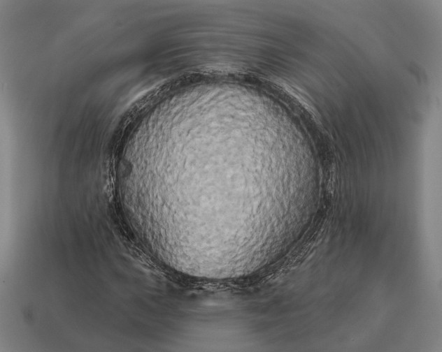 X0000115091015200911101519