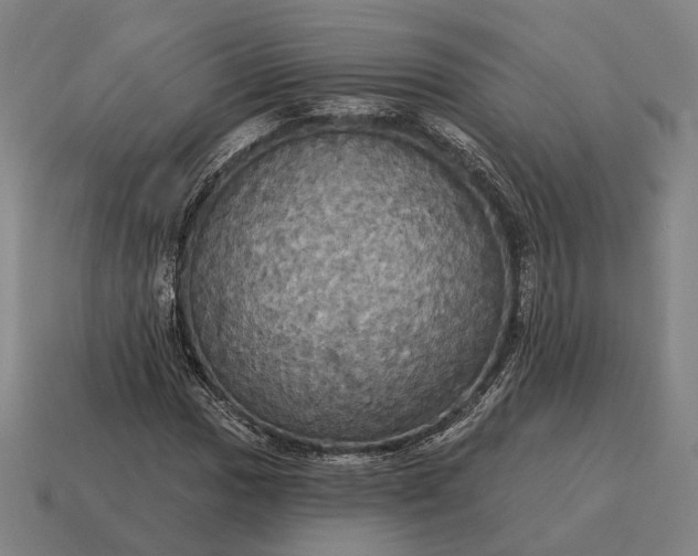 X0000115091017200911101519