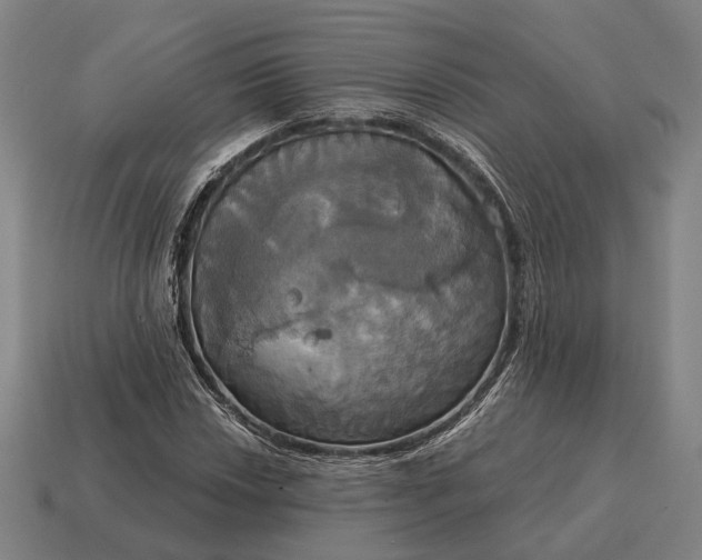 X0000115091018200911101519