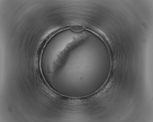 X0000115091019200911101519